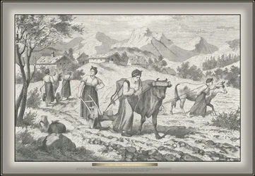 Buch Vor den Pflug gespannte Frauen der Gödsches in Unterkrain